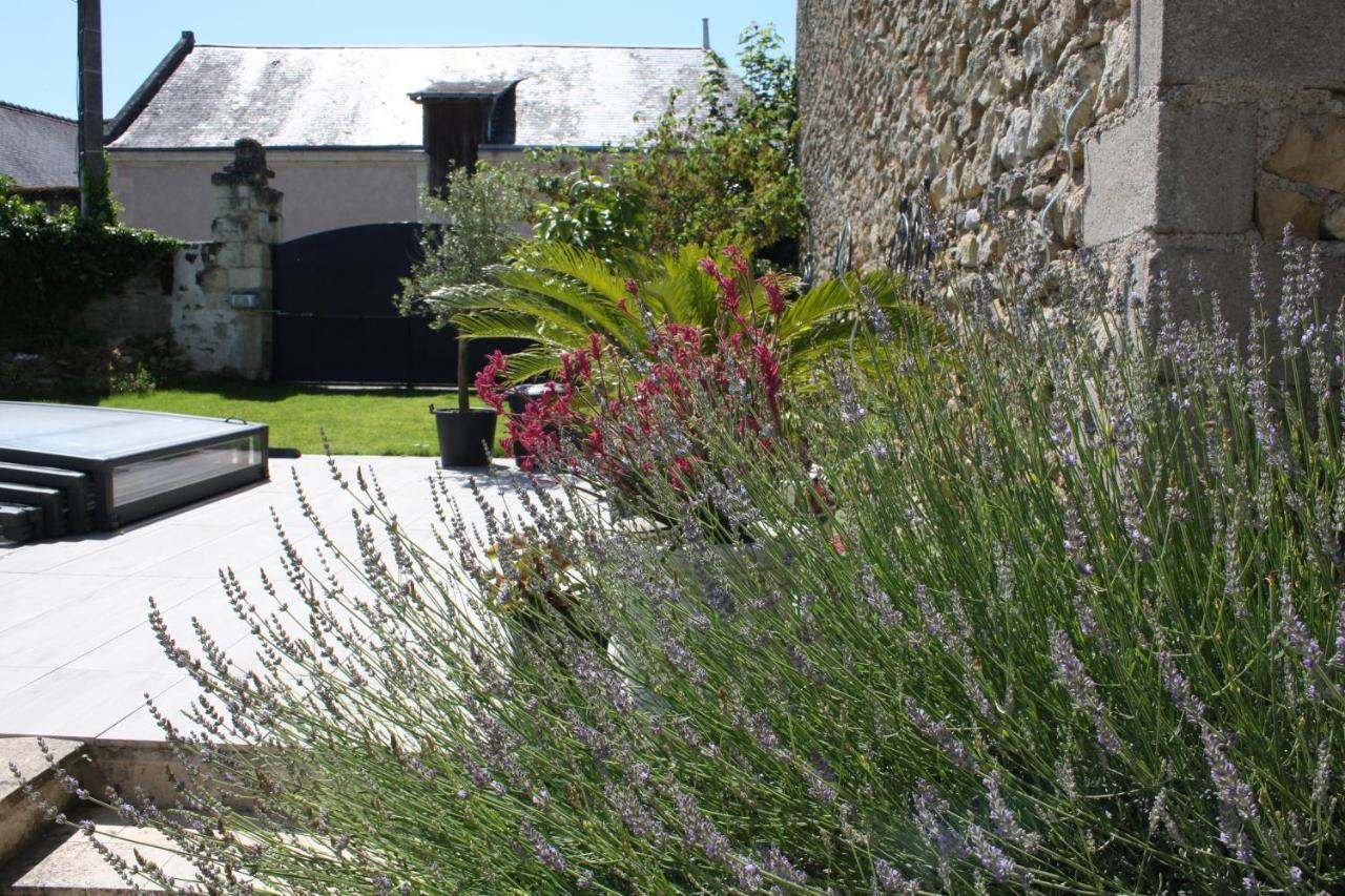 La Douce France Trianon Villa Chinon Kültér fotó